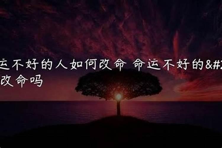 财神初几上供