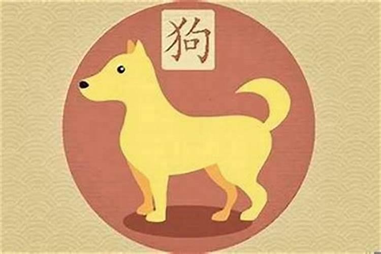 属狗的与属猪的八字硬吗 合不合？