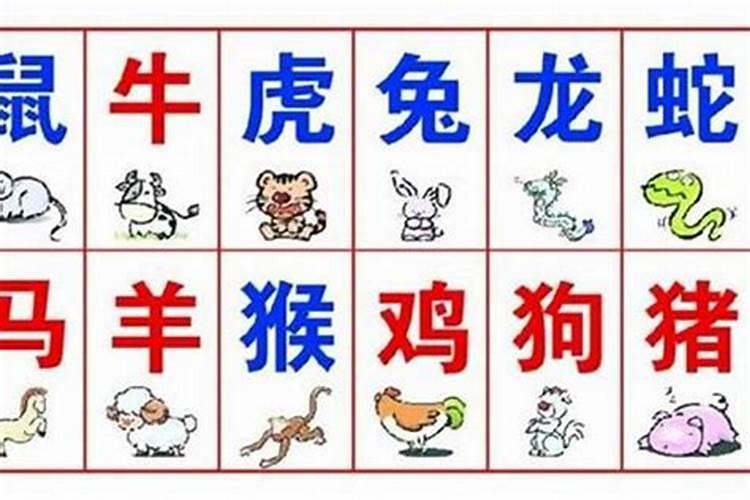 属相婚配可信有依据有用吗 属相是迷信还是科学