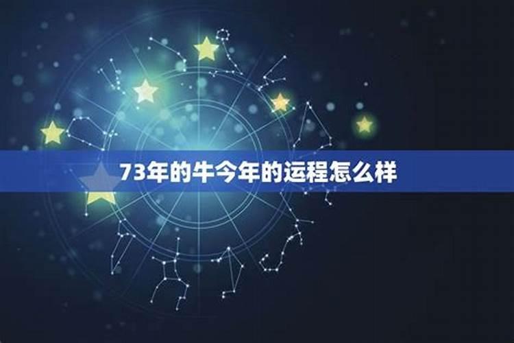 属牛2025年运程分析