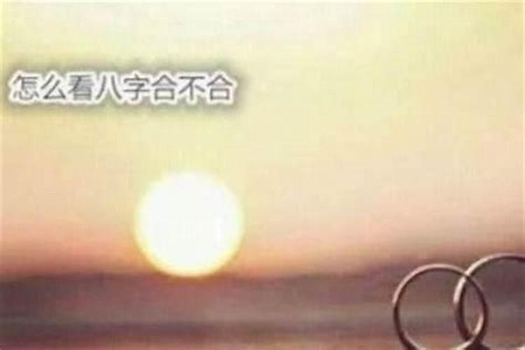 为什么总是犯小人