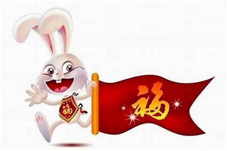 75年属兔的今年财运好吗 后半年运势如何？