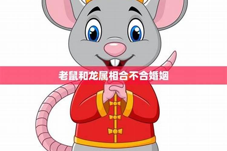 梦见叔叔婶婶在我家吃饭的预兆