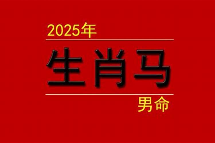 66年属马人在2025年买彩票幸运数字