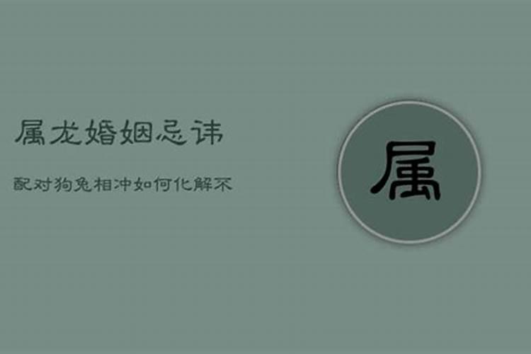 兔龙相冲还是相合,兔和龙的属相合吗