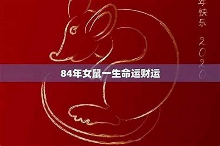 84年属鼠的人2025年爱情运