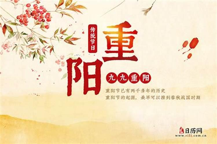 石家庄婚介公司有哪些？？？