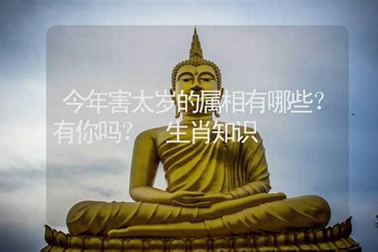 农历1974年12月12日是什么星座