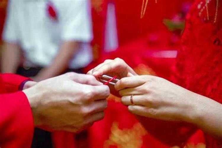 属兔在蛇年运势2025年运势