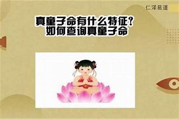 2025年属狗女1970年运势