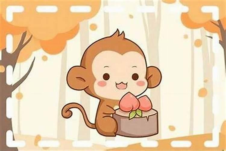 女属猴找什么属相最好