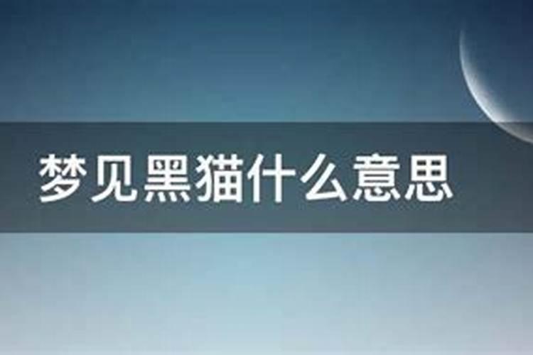 梦见自己把一只狗摔死