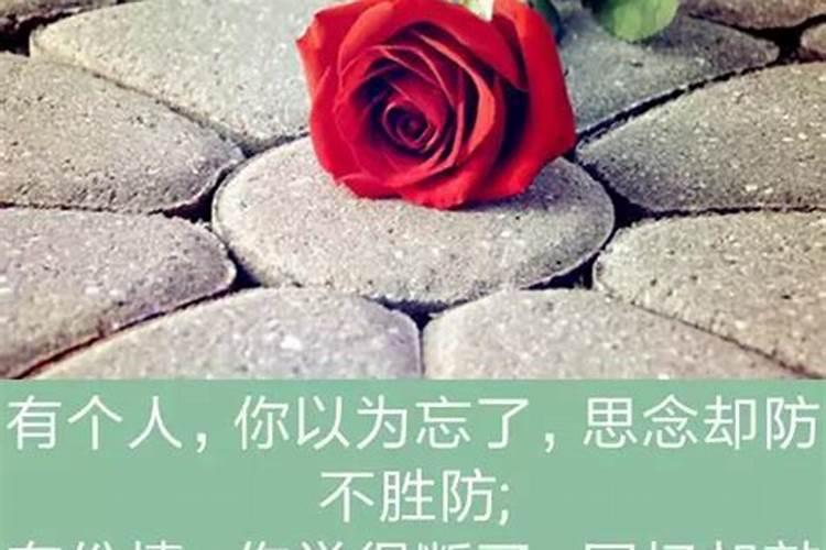 四柱八字直观断命口诀 四柱八字精准断命的最高心法