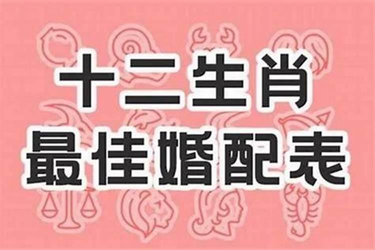 属牛的破太岁解决方法