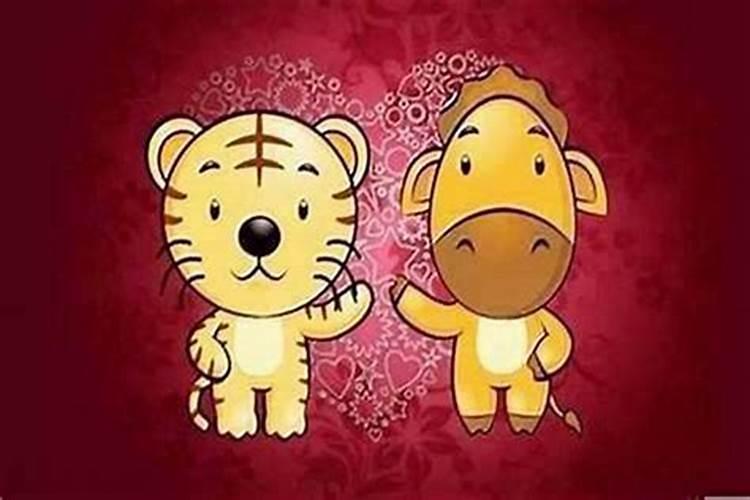 梦到枣树开花是什么意思？