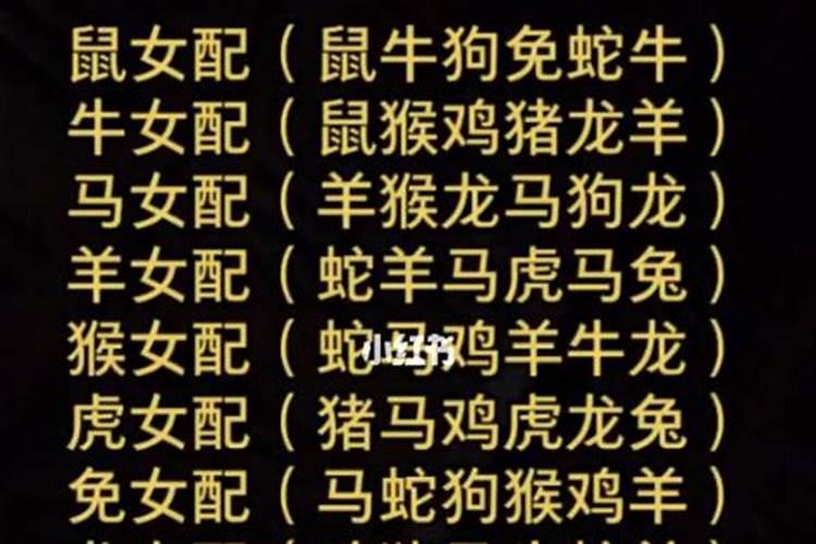 婚姻真的要看属相吗,婚姻真的有属相相克,一回事吗？