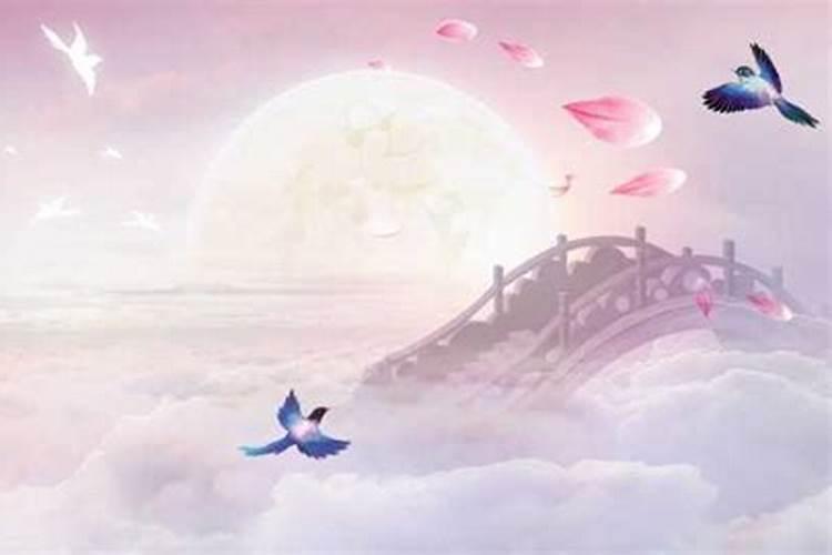 七夕还有多久2024