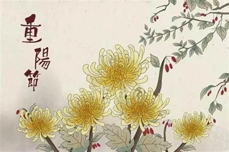 算命说的童子是什么意思