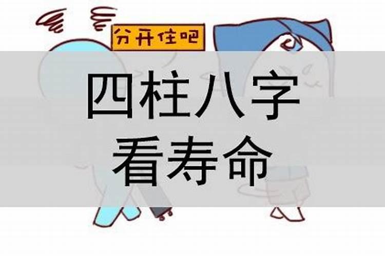2025年流年八字运势
