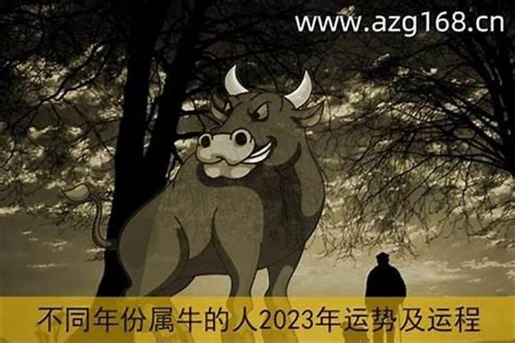 女人梦见发洪水逃生成功