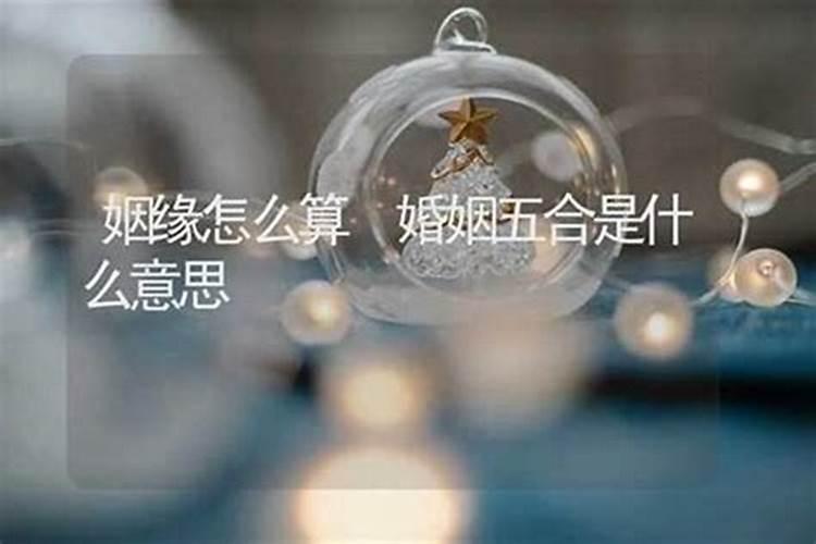 算命动婚姻是什么意思？