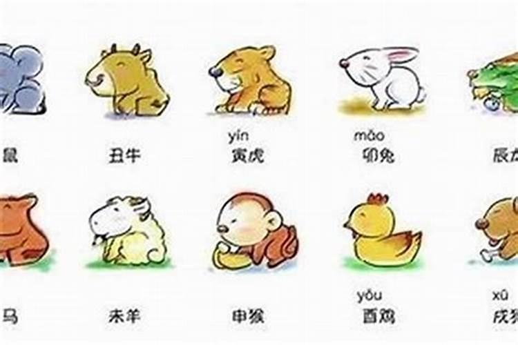 属兔和什么属相最配啊？