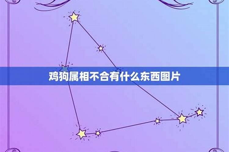 属猴2025年犯太岁吗