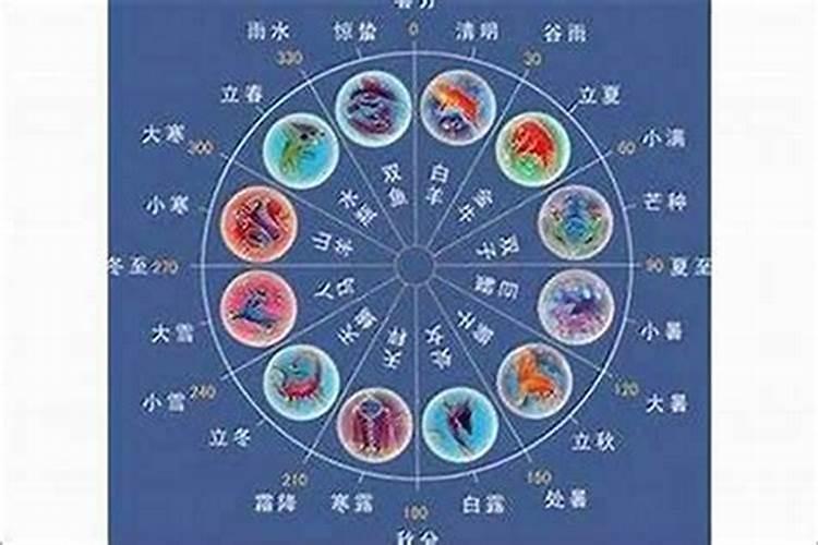 哪些生肖最喜欢吃鱼和肉