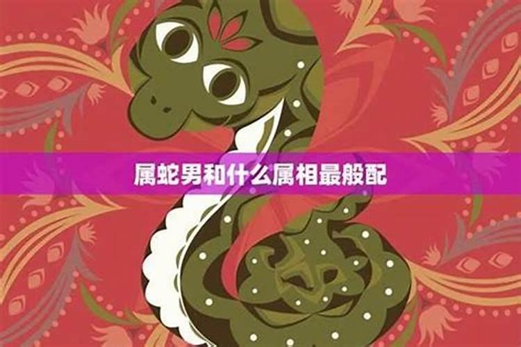 男属蛇适合配什么属相