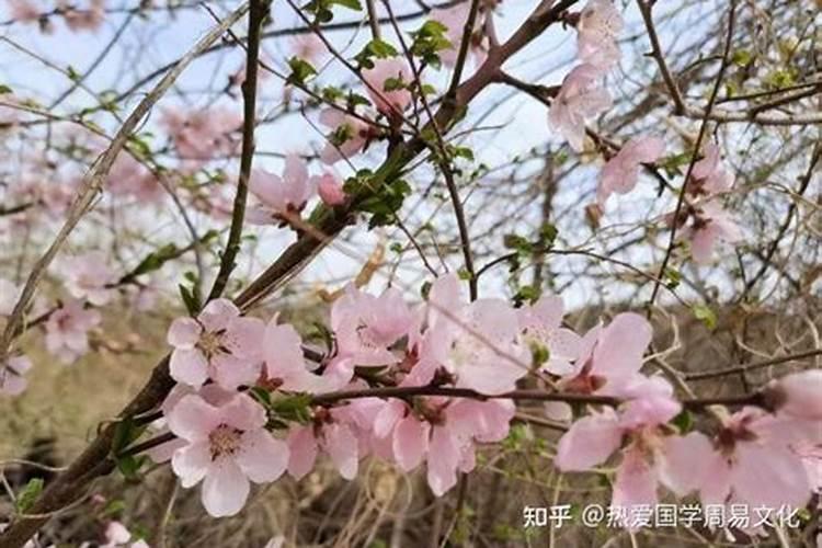 元宵节中国传统节日的习俗有哪些 ？你知道多少？