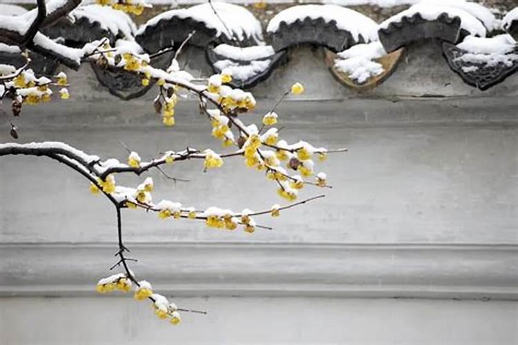 中秋节,重阳节及冬至的来历及传说