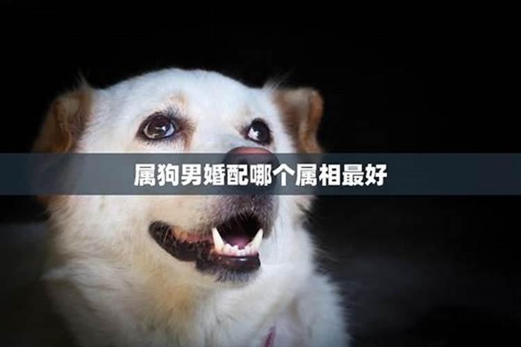拜月几点开始