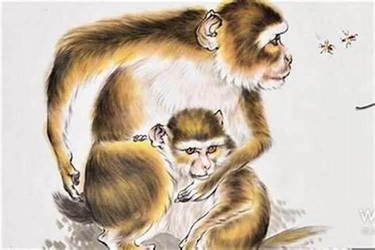 92猴女95猪男八字合婚结果,95的猪男和92的猴女合适吗