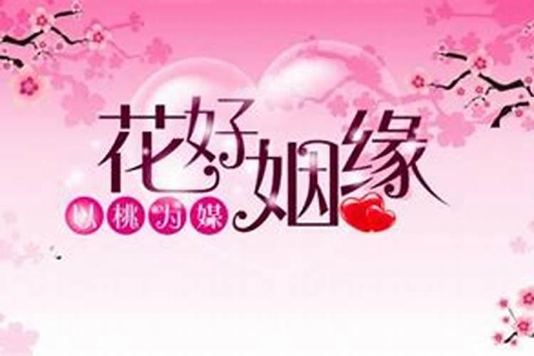 81年属鸡人在2025年的全年运势