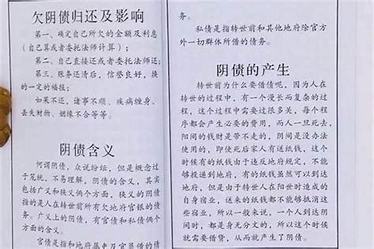 2025羊人全年运势如何