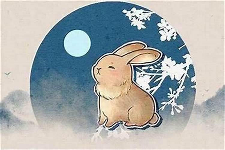 1995年农历10月生的,今年桃花运怎么样