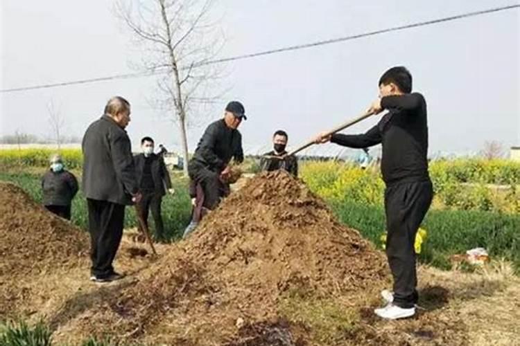 梦见别人吃生鱼