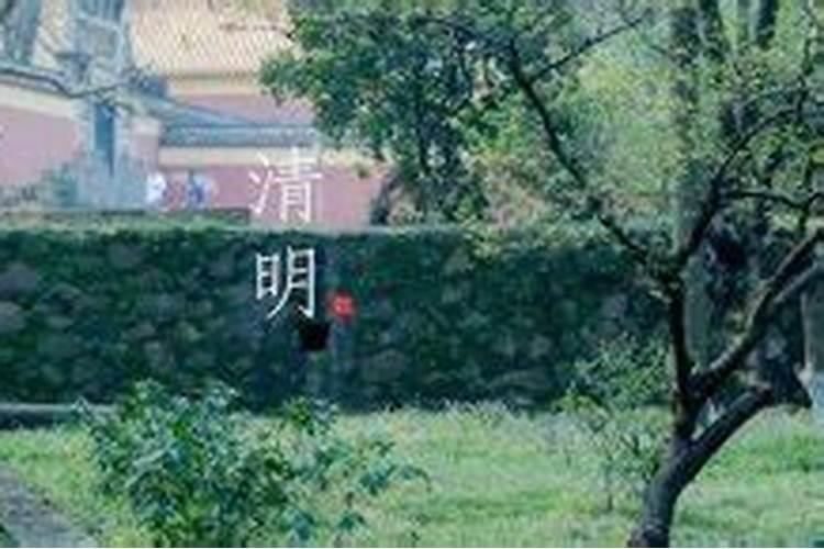 清明的时辰是几点