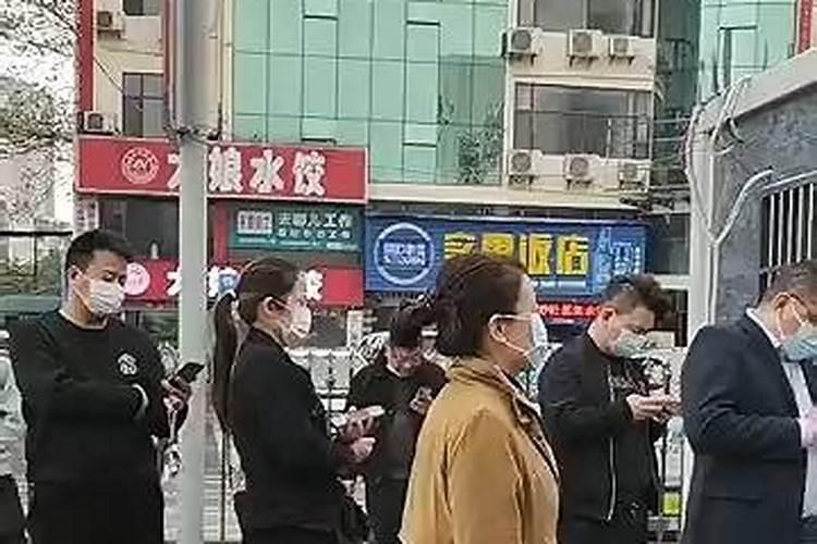 2019年属猪是什么命几月份生好
