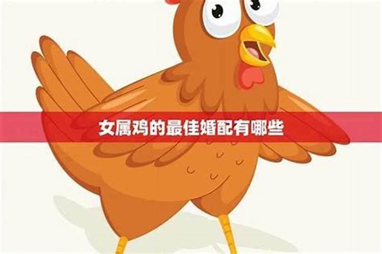 马年犯太岁属相有哪些