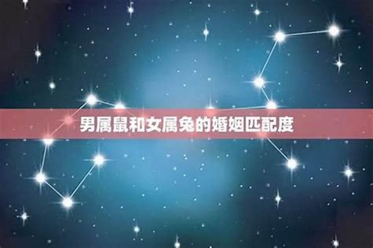贵人扶持的四大属相