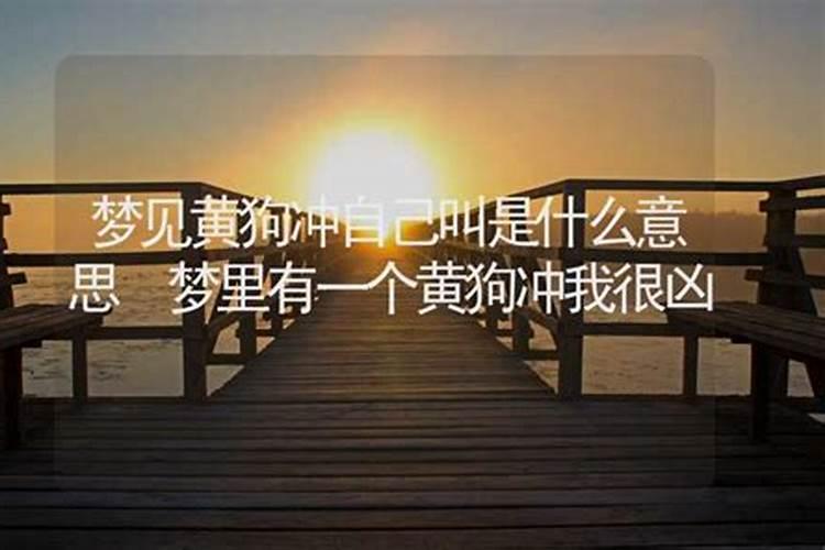 梦见很凶的狗的预兆