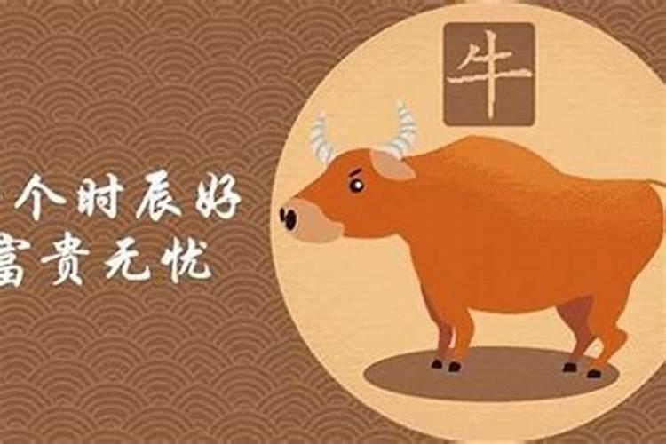 1997年属牛女一生运势97年属牛女孩是什么命