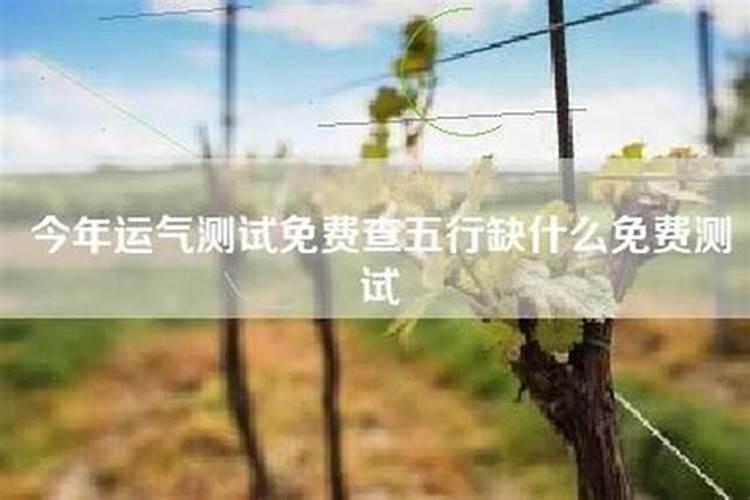 选一个物品测自己最近的爱情运势