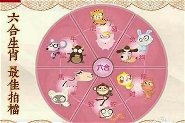 本命年不办婚礼能领证本命年可以领证登记吗