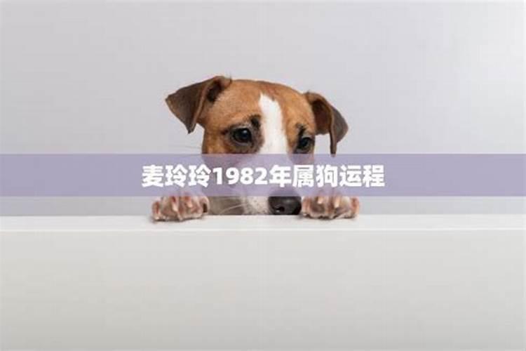 属蛇的女人和什么属相配对最合适