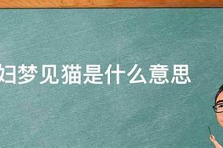 梦见猫进了我们家什么意思？