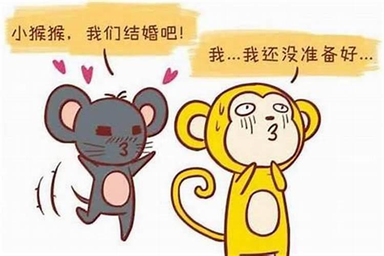 请问风水大师属鸡卧室能挂葫芦画吗,有什么禁忌？