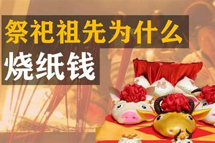 梦见狗生一窝小狗是什么预兆