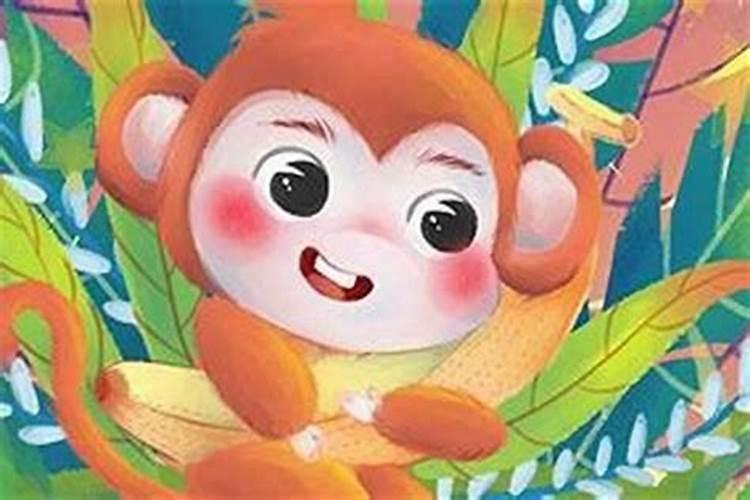 属猴的几月出生最好 6月好命的代表？